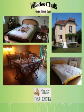 la villa des chats
